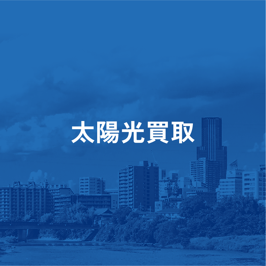 太陽光買取